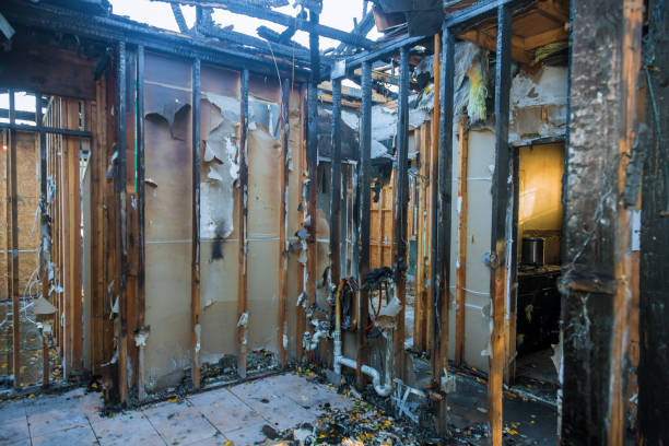 Professional Smoke Odor Removal technician working in Pemberton, NJ